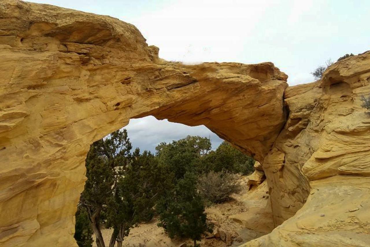 Solano Vallejo 3343 Moab Bagian luar foto